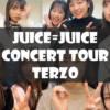 【セトリ】2022春・Juice=Juice CONCERT TOUR ～terzo～【3/20八王子より】