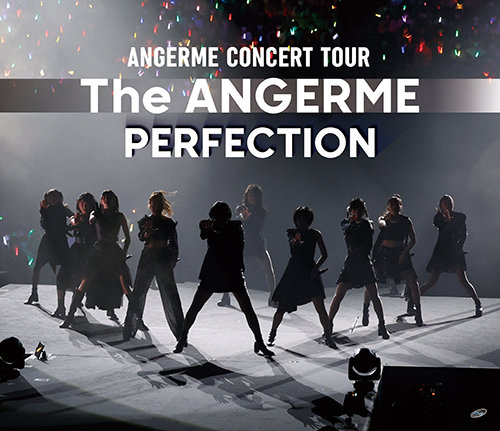 アンジュルム CONCERT TOUR -The ANGERME- PERFECTION