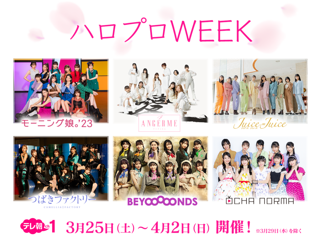 ひなフェス2023ハロプロWEEK