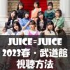 【配信・視聴方法】Juice=Juice・2023春・日本武道館【テレ朝チャンネル生中継・スカ