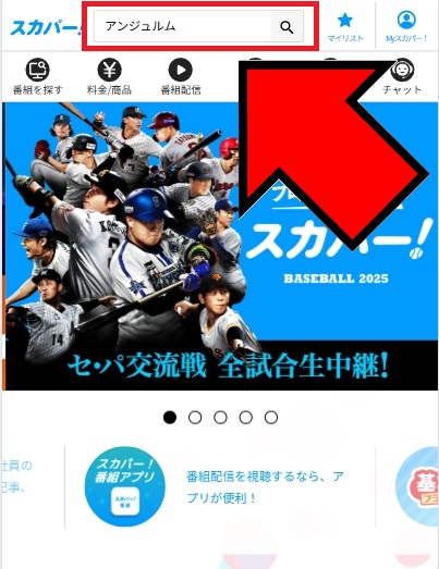 アンジュルム桜梅桃李視聴法SP2